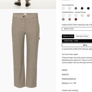 Aritiza Cargo Pant